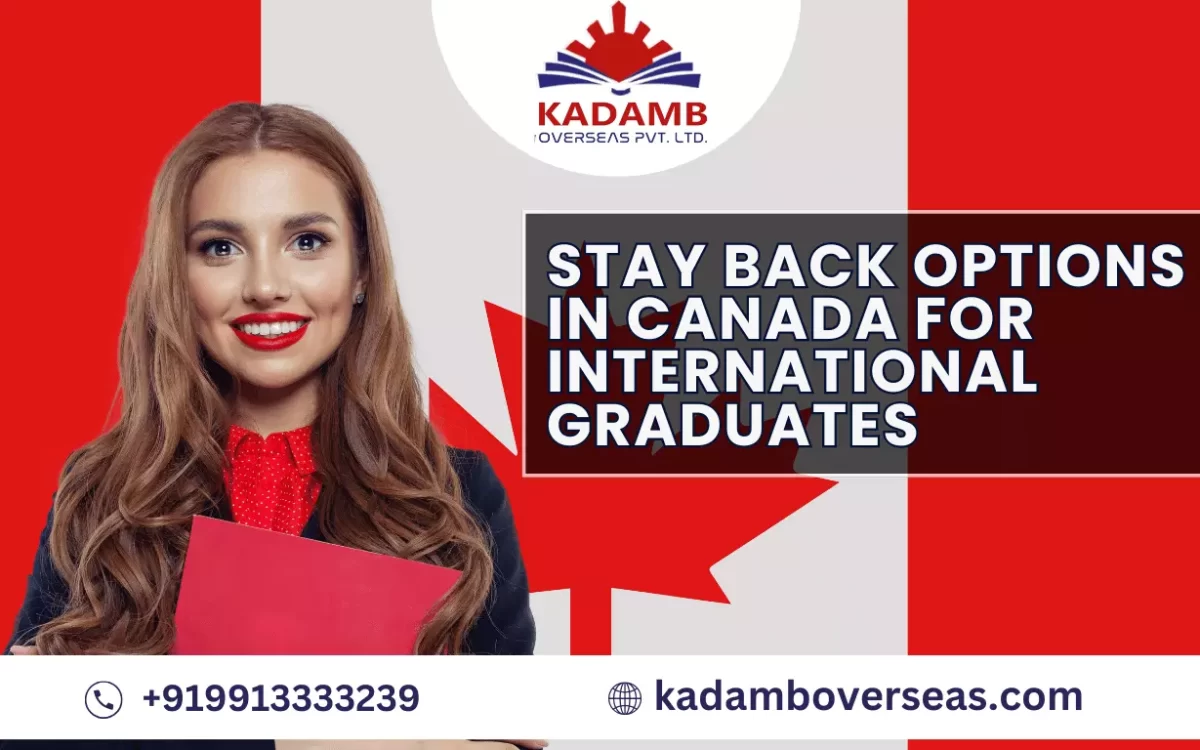 stay-back-options-in-canada-for-international-graduates